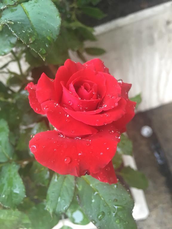 Sabye Club Hostel 방콕 외부 사진